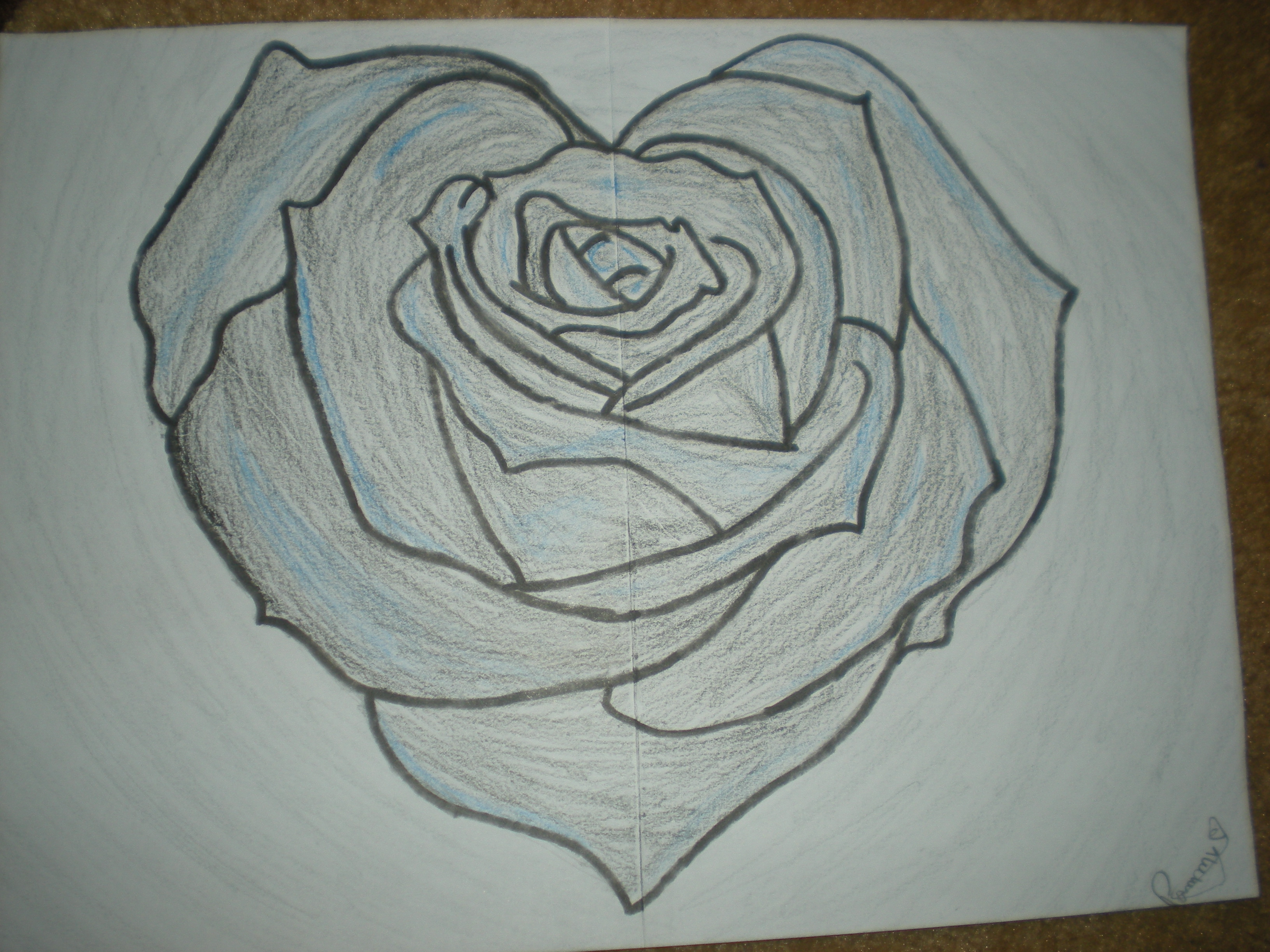 Rose Drawing | Viralnova