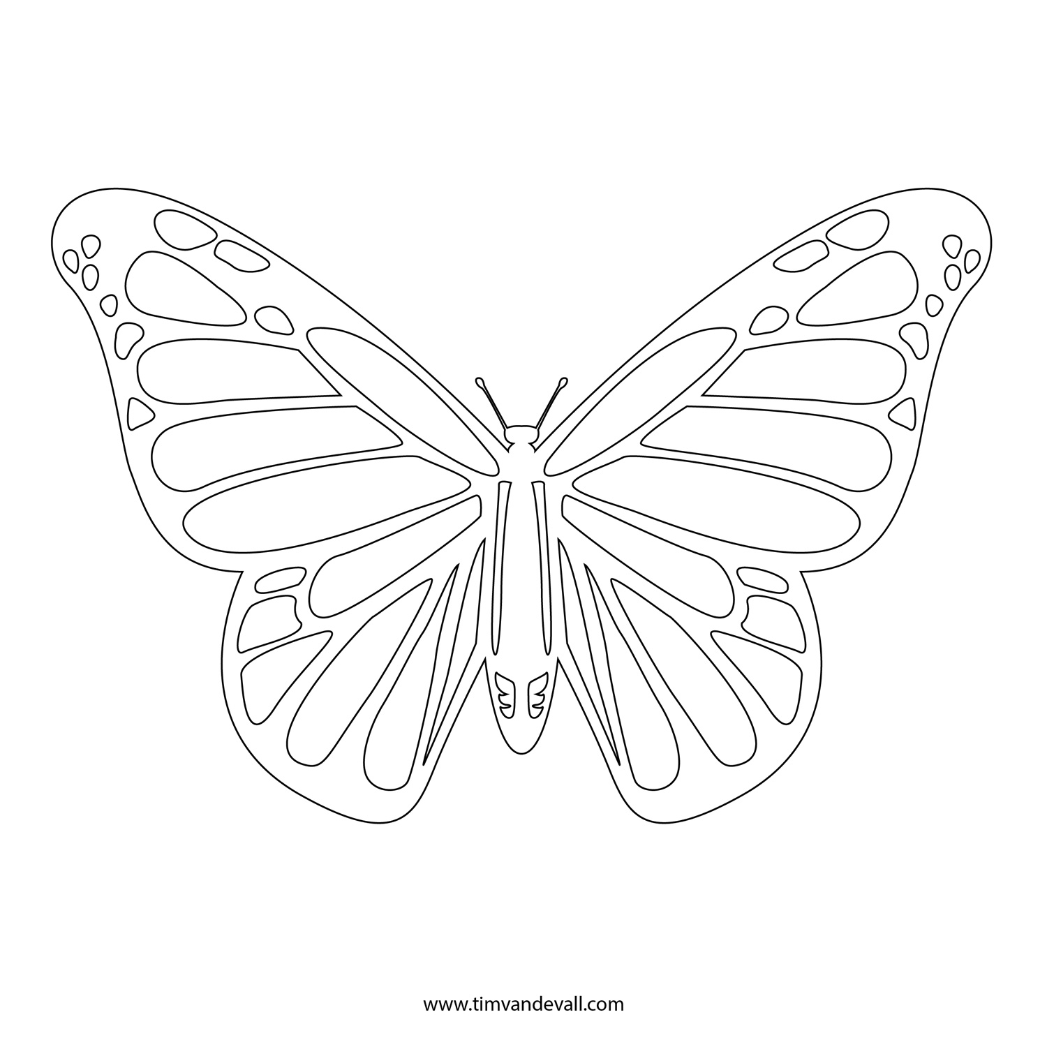 printable-butterfly-template-cut-out-printable-templates