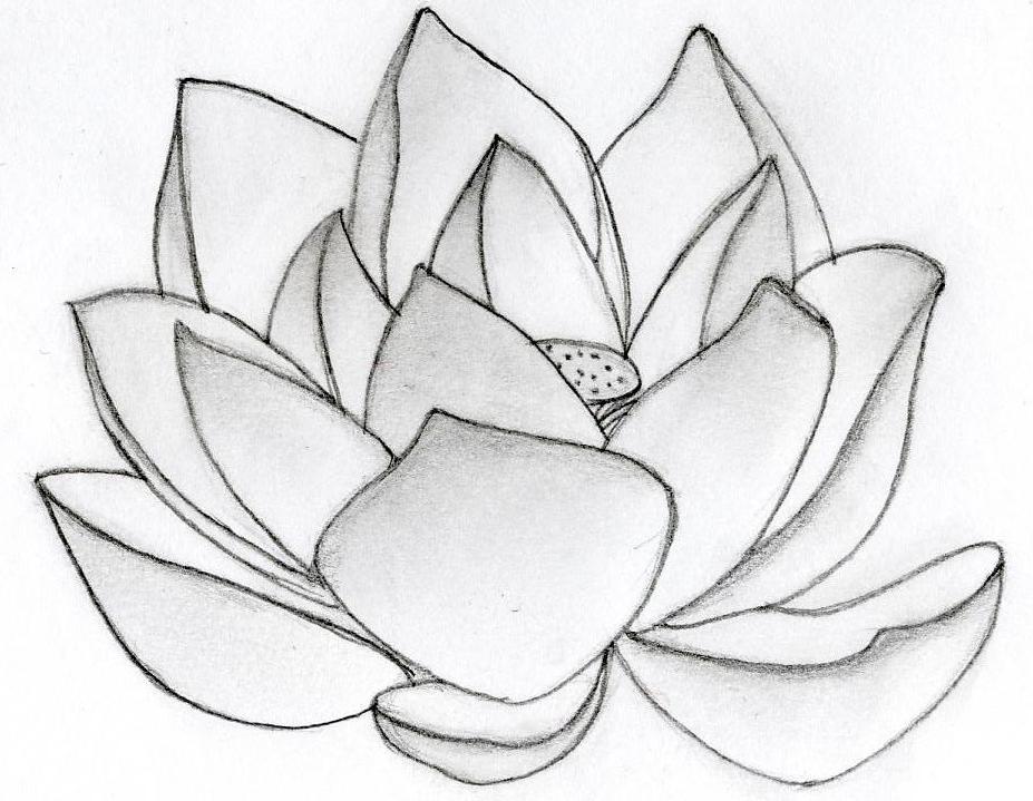 Lotus Tattoos, Designs And Ideas : Page 49