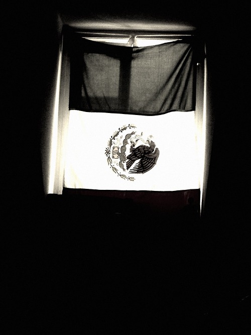 Black and White Window flag mexico bandera viva mexico theres no ...