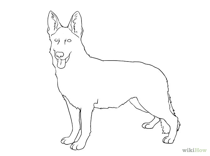 How to Draw a Real Dog: 10 Steps (with Pictures) - wikiHow