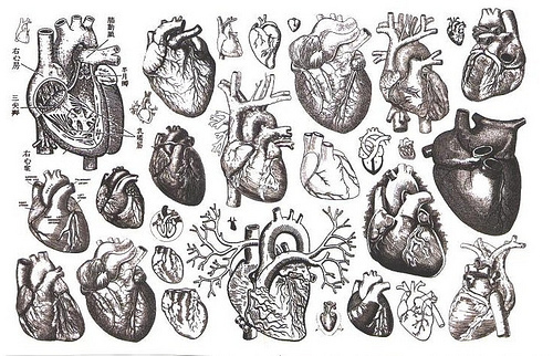 cartoon, diagram, drawings, heart, hearts - image #204195 on Favim.com