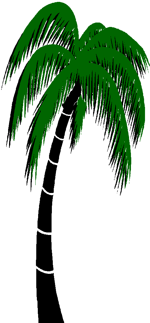 palm tree gif - get domain pictures - getdomainvids.