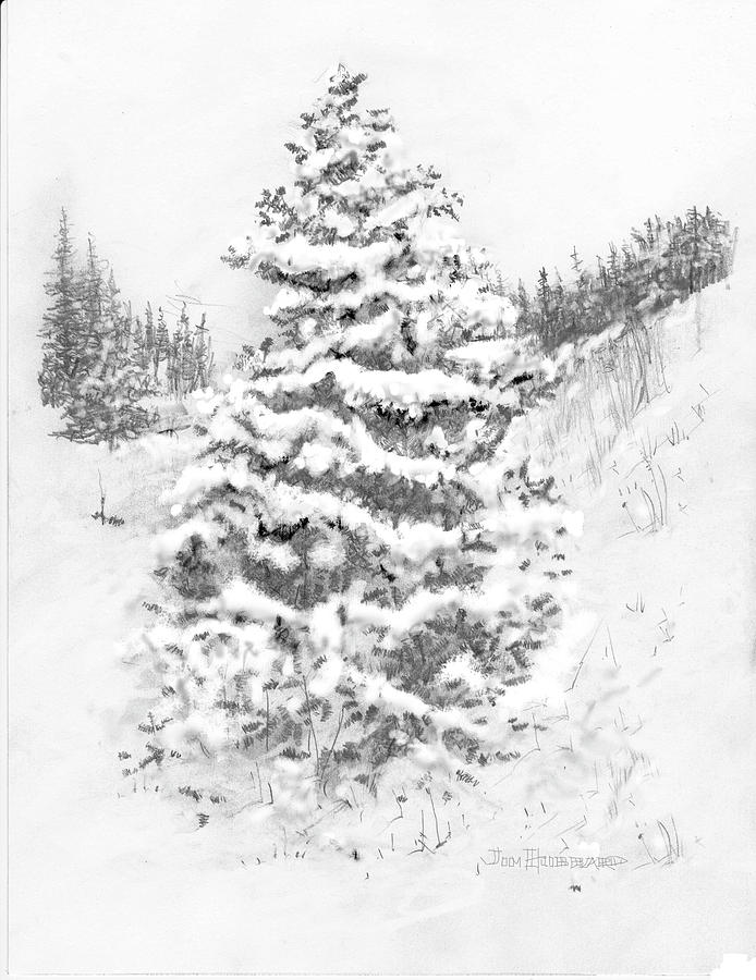 Colorado-blue Spruce by Jim Hubbard