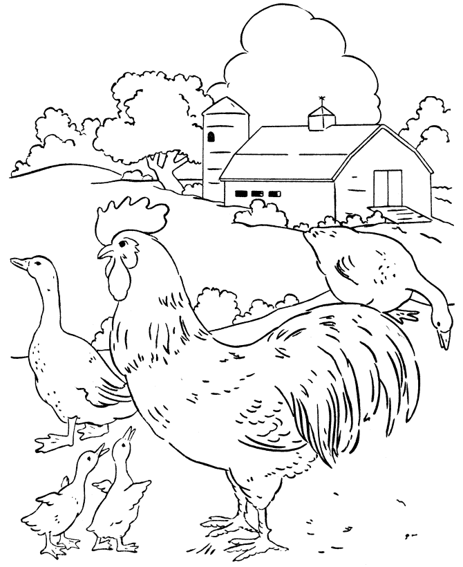 Farm scenes coloring page | Farm Scene - Chickens and geese in the ...