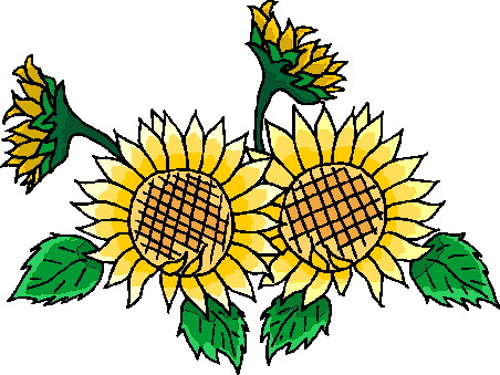 Clip Art - Clip art sunflower 996640