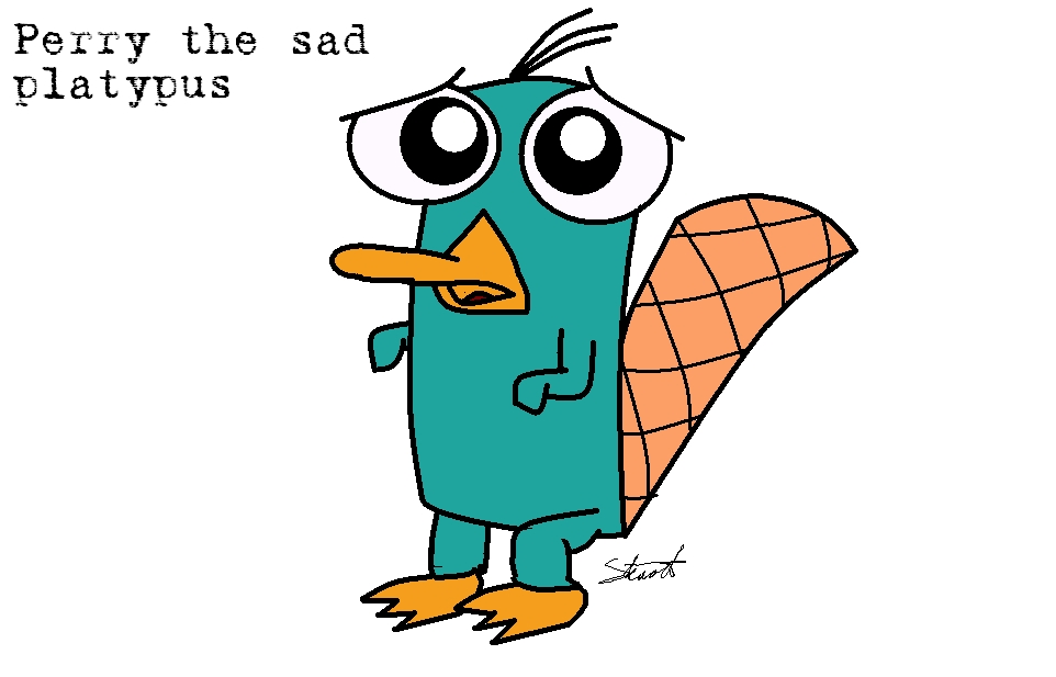 Would you adopt perry the platypus? Poll Results - Perry the ...
