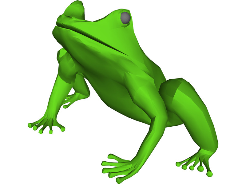Tree Frog 3D Model Download | 3D CAD Browser