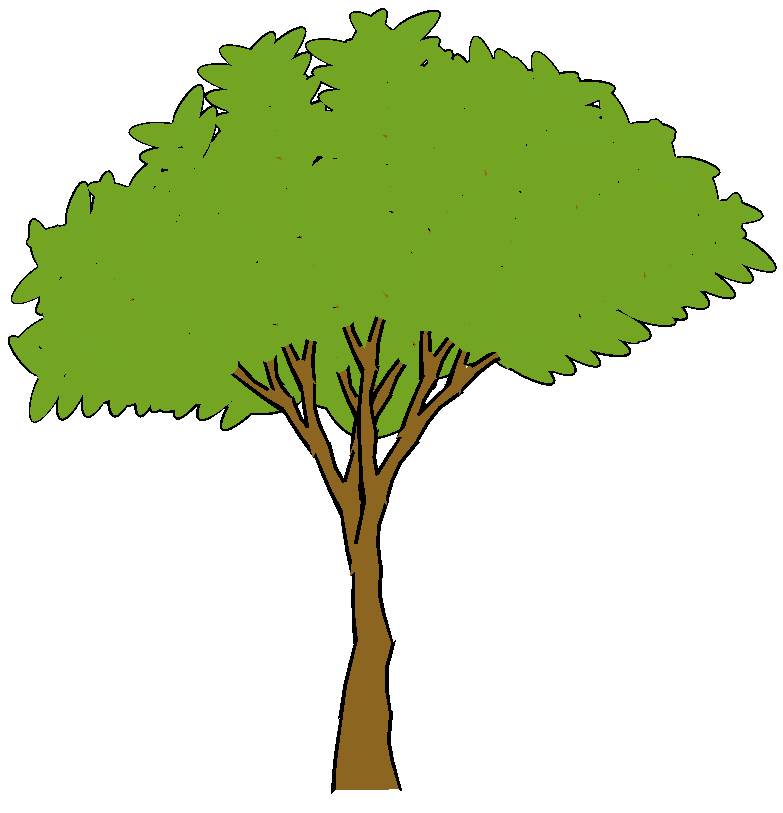 Pine Tree Cartoon - Cliparts.co