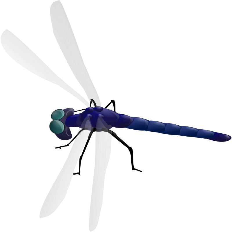 Clipart - Dragonfly
