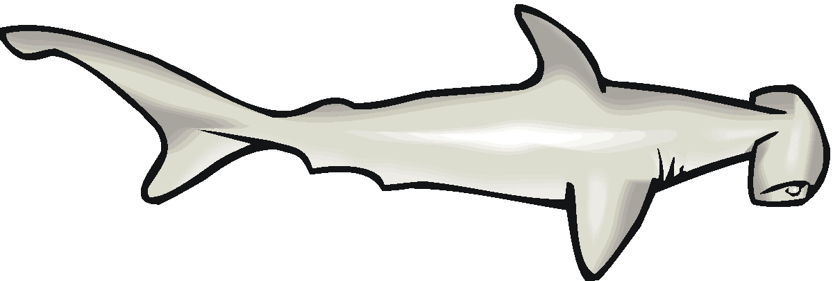 Tiger Shark Clip Art