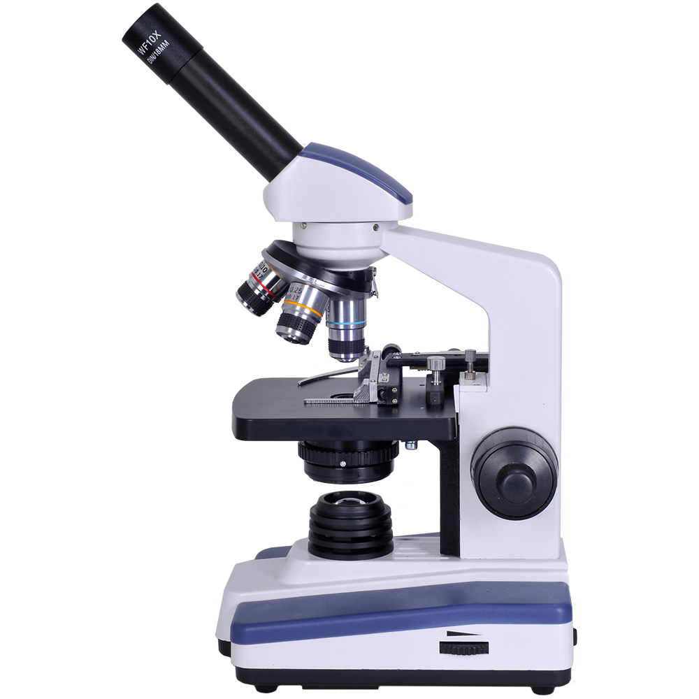 Picture Of Microscope - Cliparts.co