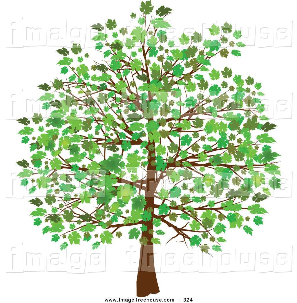 free clip art green tree - photo #39