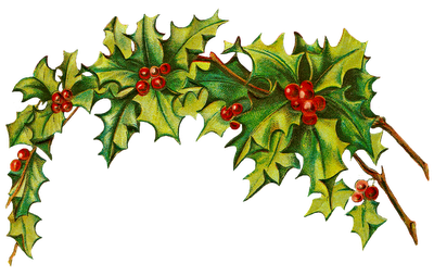Christmas Holly Border Clip Art - ClipArt Best