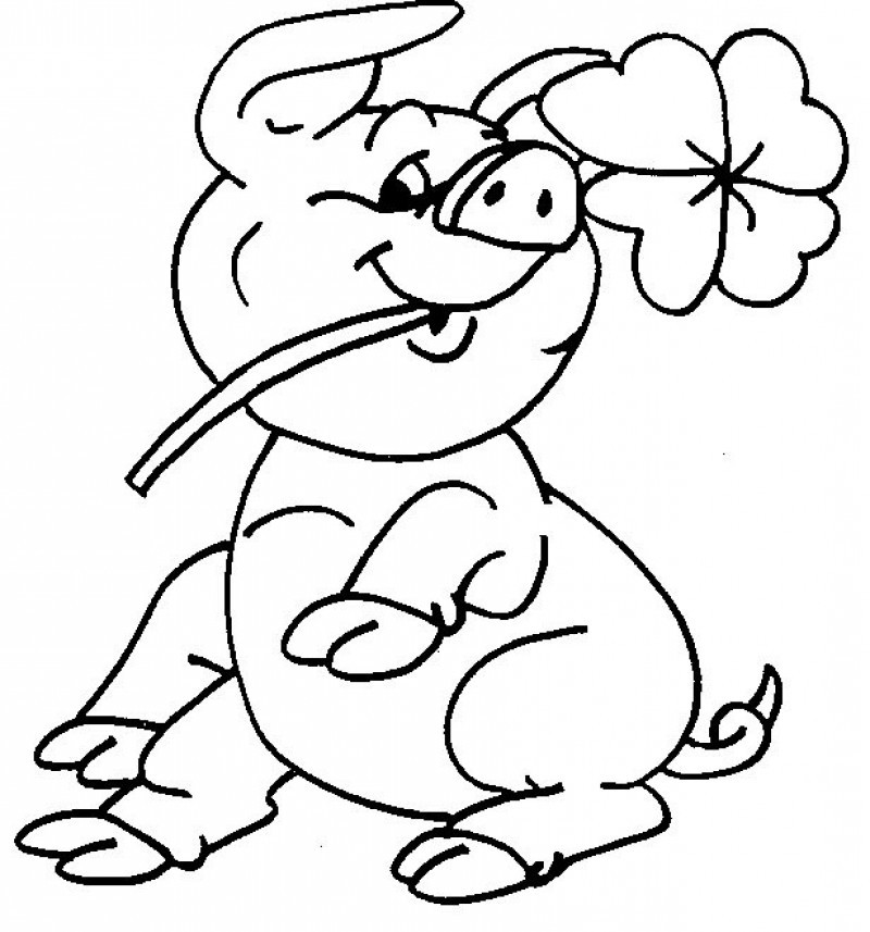 Pig With Four Leaf Clover Coloring For Kids - Kids Colouring Pages