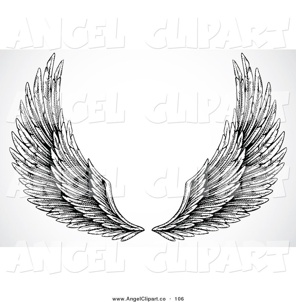 Clip Art of a Pair of Black and White Feathery Open Wings on White ...