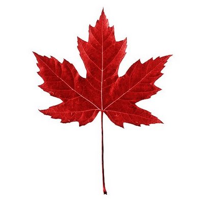 Image Of Maple Leaf - Cliparts.co