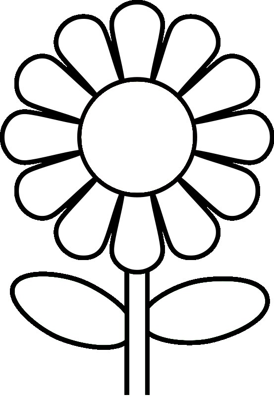 Daisy Flower Template Cliparts co