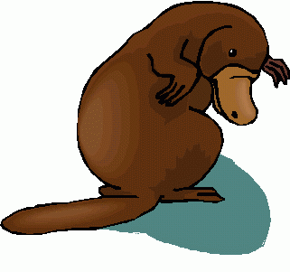 cartoon about platypus