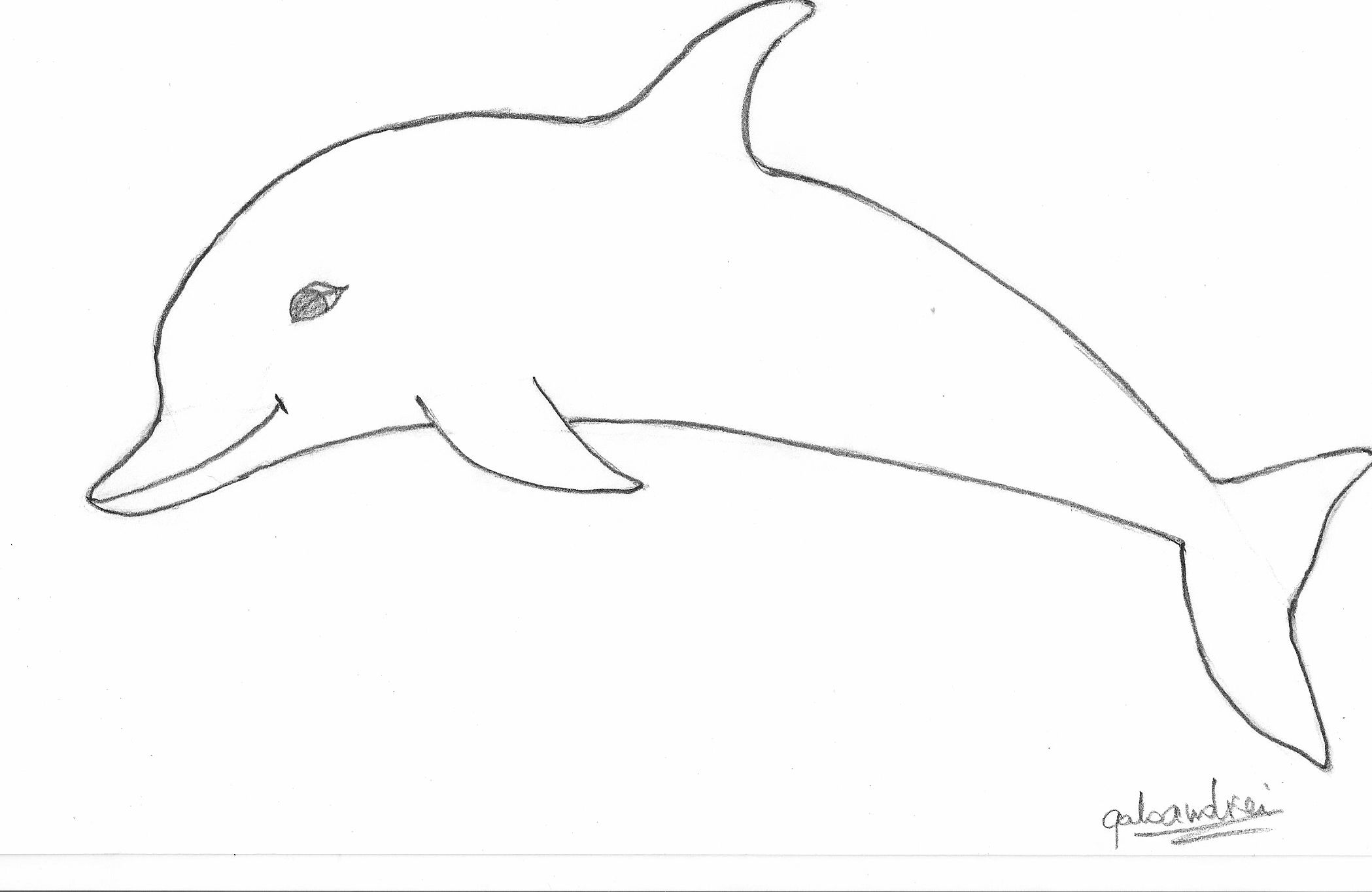 Line Drawing Of Dolphin Cliparts.co