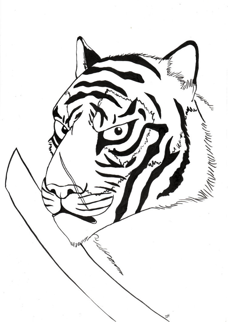 Images For > Eye Of The Tiger Drawing