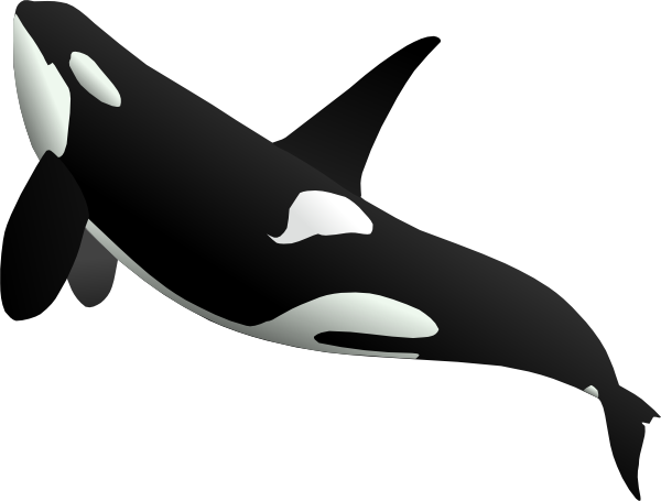 Ascending Whale clip art - vector clip art online, royalty free ...