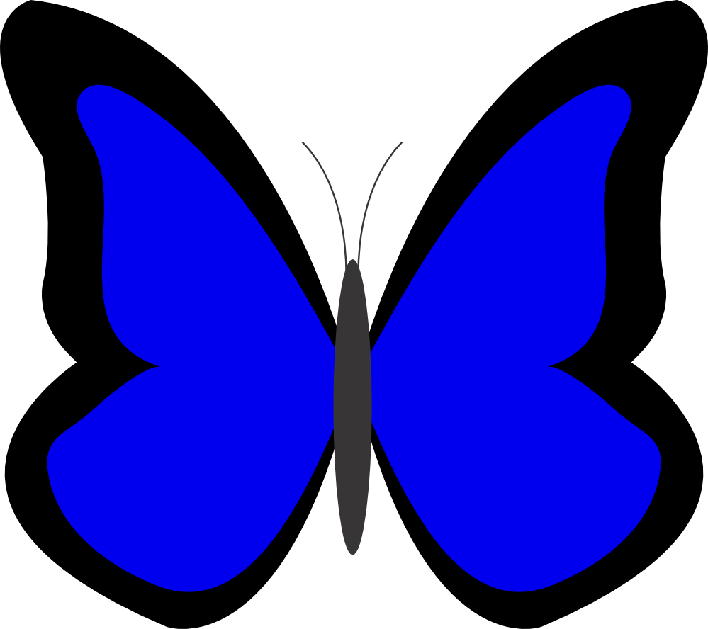 Butterfly 26 Color Colour Blue 2 Peace xochi.info SupaRedonkulous ...