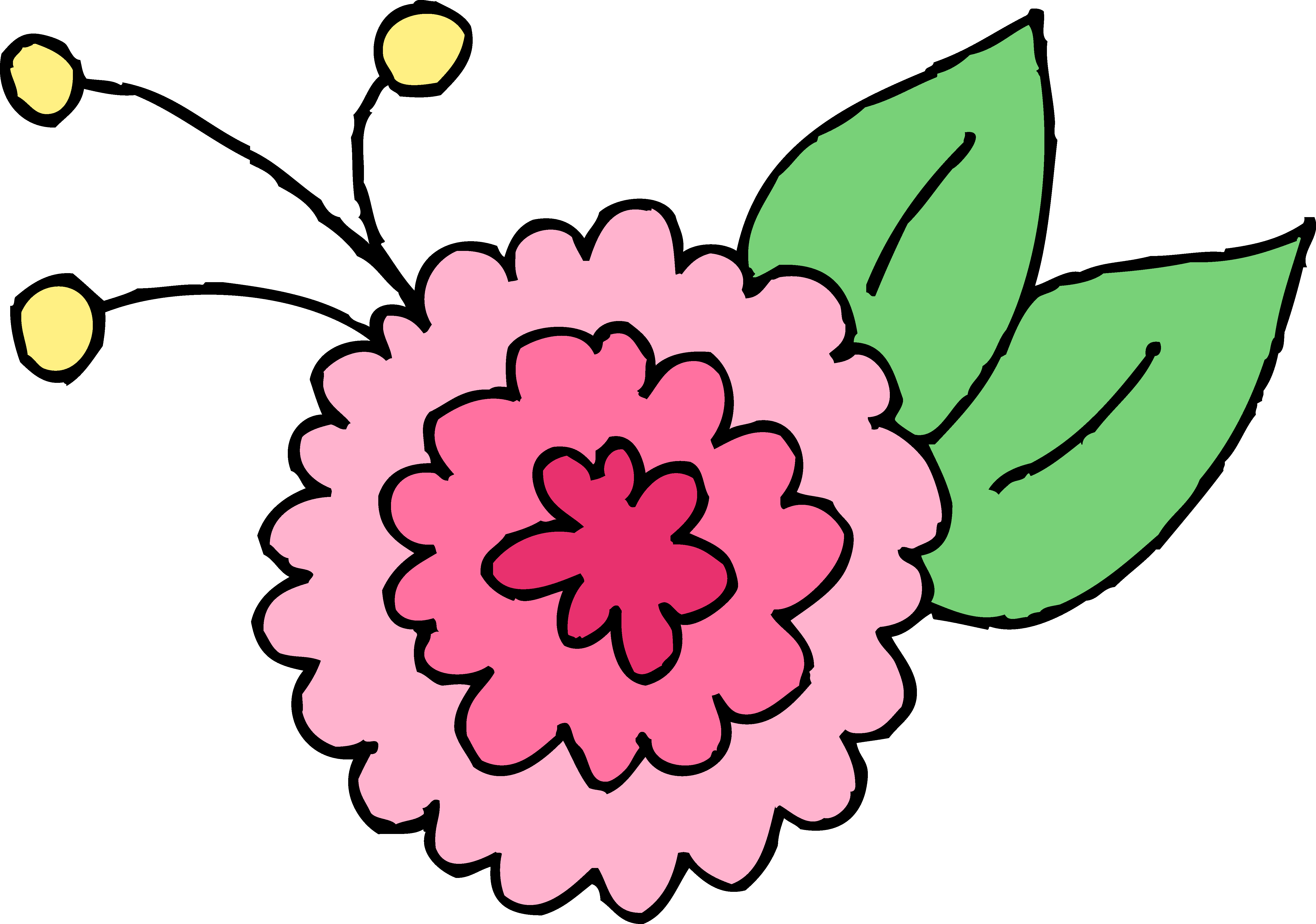 Cute Pink Chrysanthemum Flower - Free Clip Art