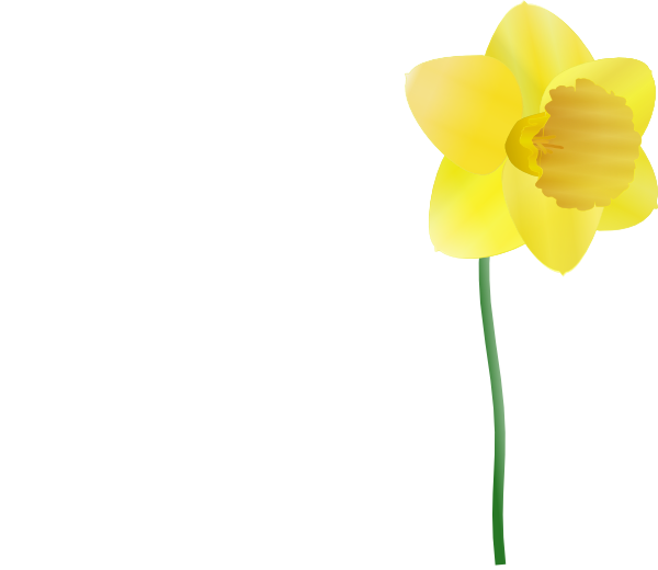 Daffodil Images Clip Art - ClipArt Best