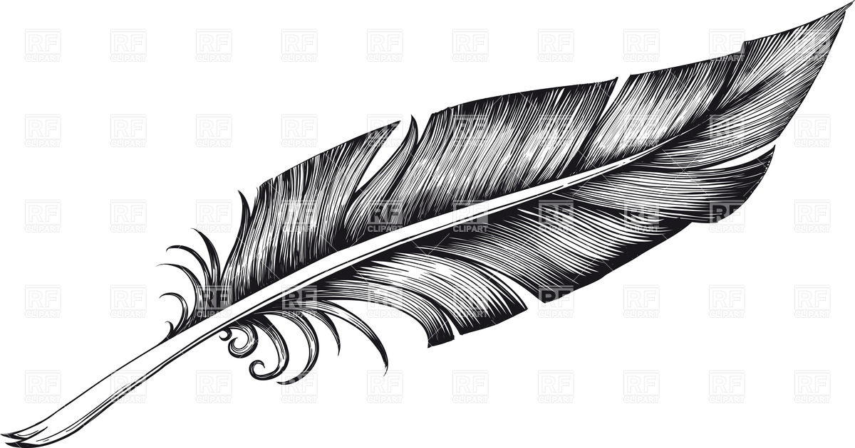 Vintage black and white quill pen (feather), Objects, download ...