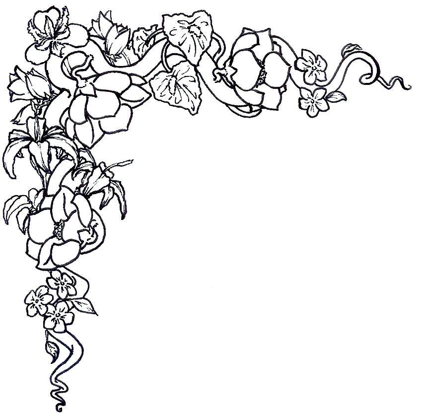 Rose Flower Border - Cliparts.co