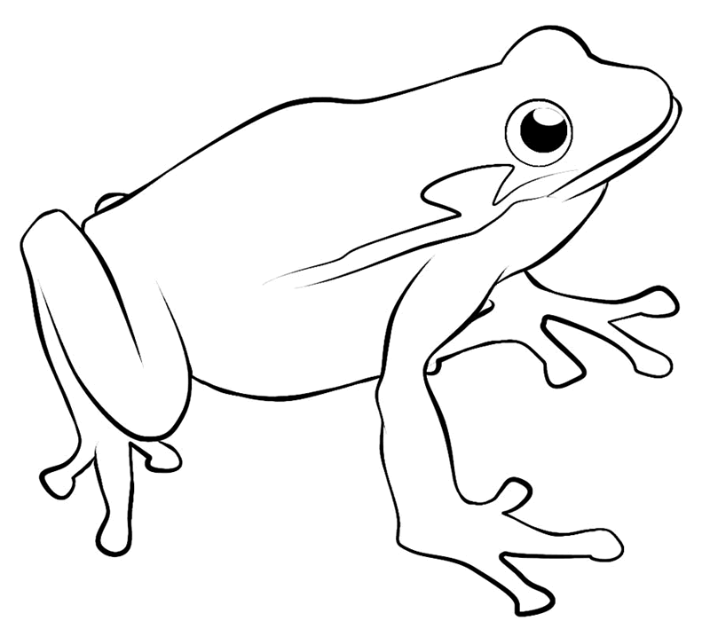 bull frog Colouring Pages (page 2)