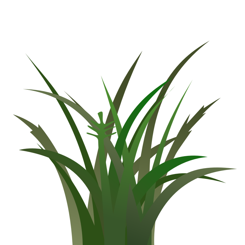 Clipart - Dark Grass