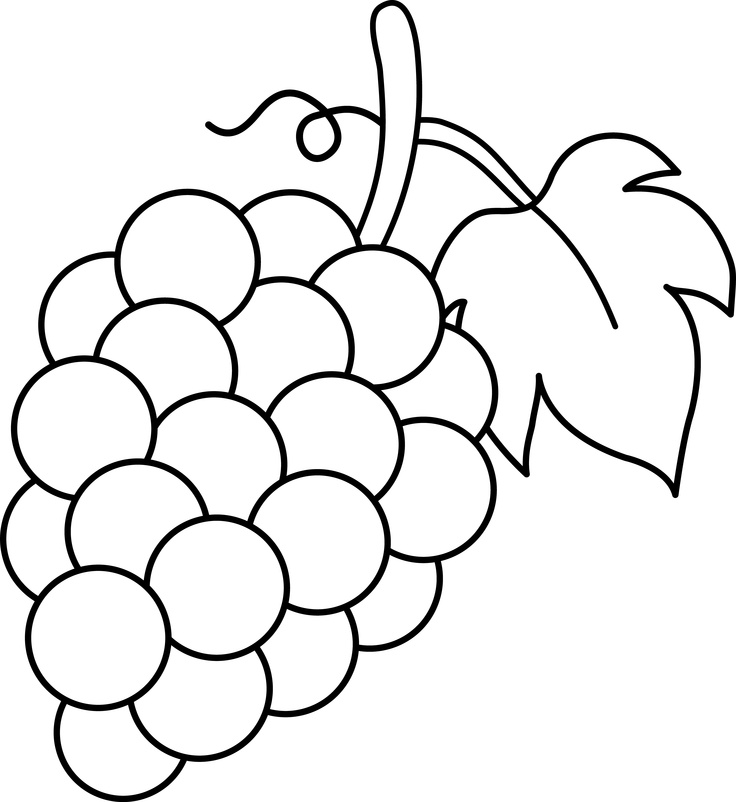 Line Art of a Bunch of Grapes | Grape Art | Pinterest