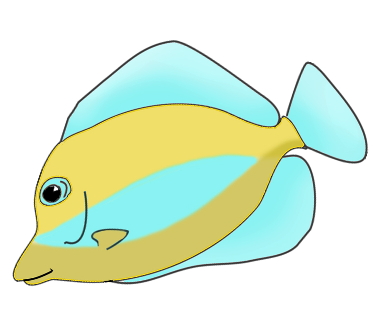 Colorful Fish Drawings