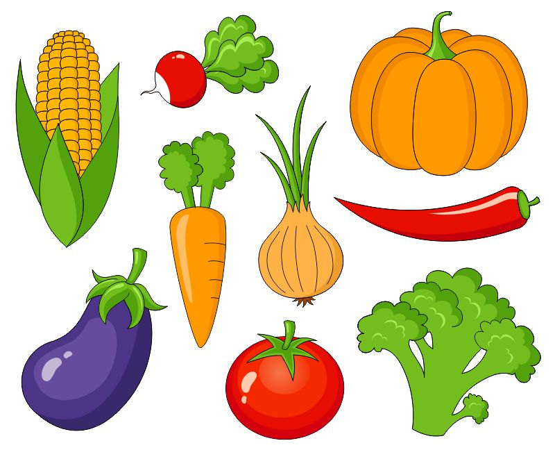 Popular items for vegetable clip art on Etsy