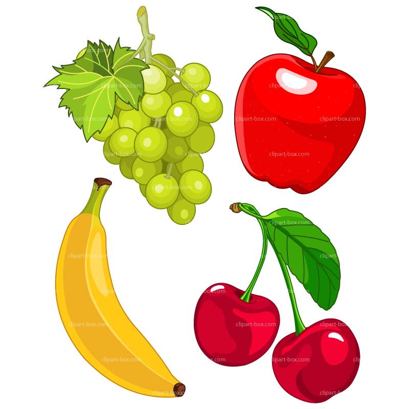 CLIPART FRUITS SET | Royalty free vector design