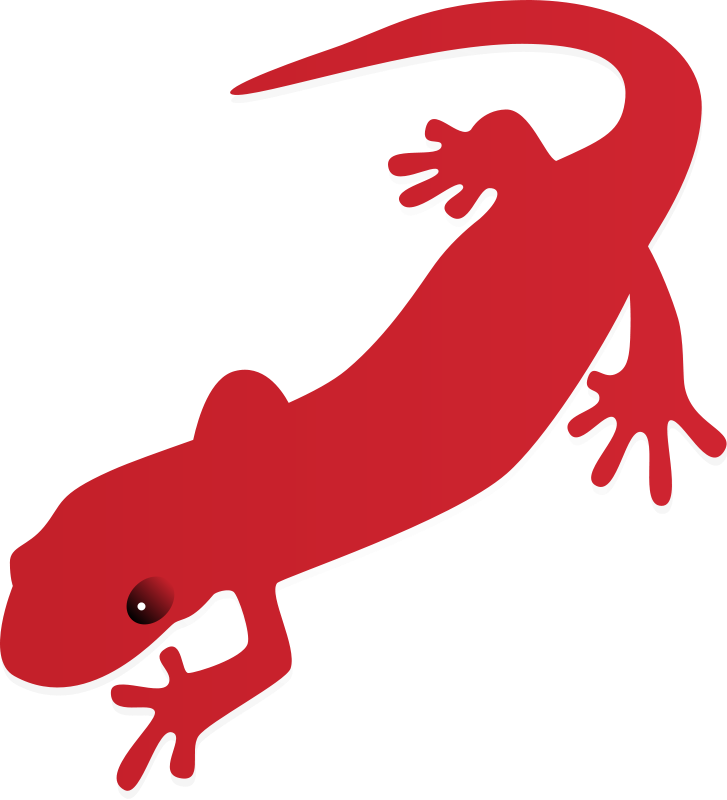 Free Red Salamander Clip Art