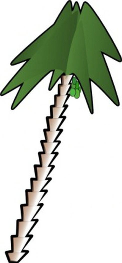 Leaning Palm Tree Clip Art | Free Vector Download - Graphics ...