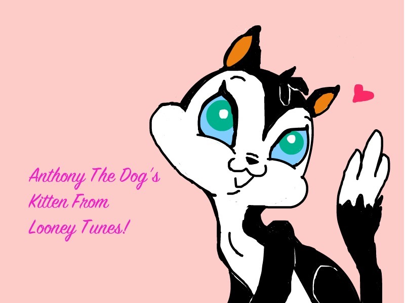 Looney Tunes Kitten by kimbafan on deviantART
