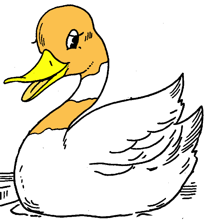 Fulvous Whistling Duck-5 - school kids fun