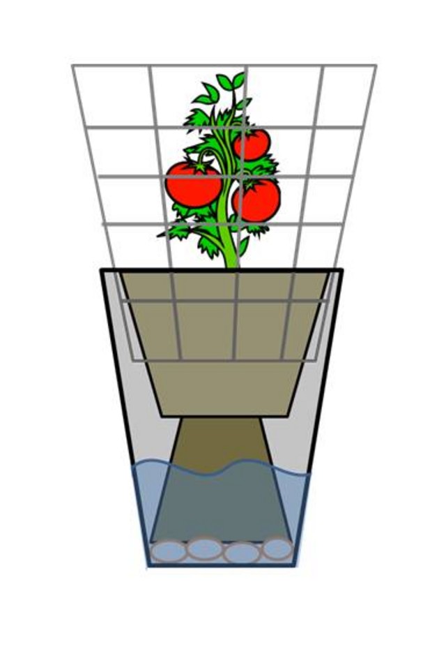 Will this idea work for a tomato in a garbage can? - Growing ...