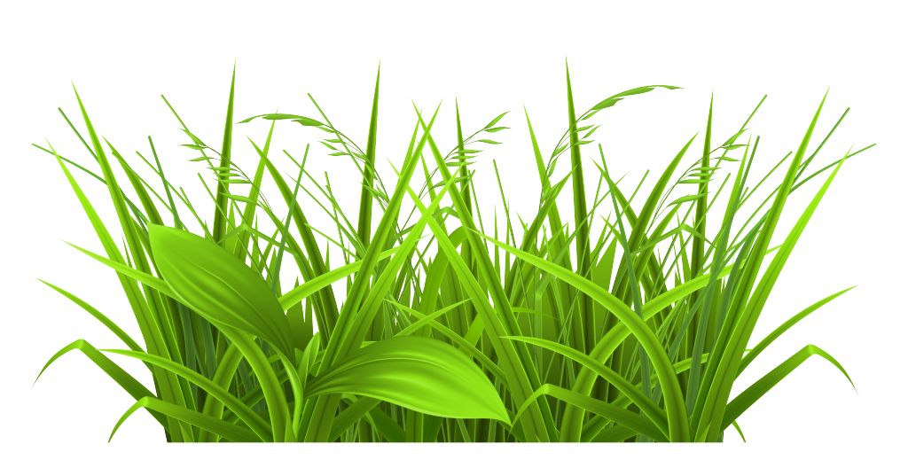 free clipart of green grass - photo #14