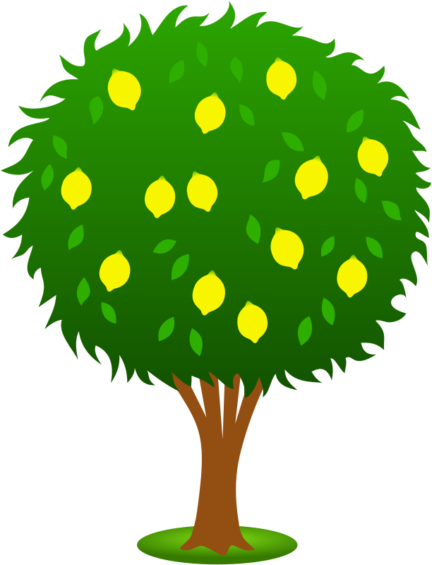 Trees Clip Art Coloring Pages Images | Clipart Panda - Free ...