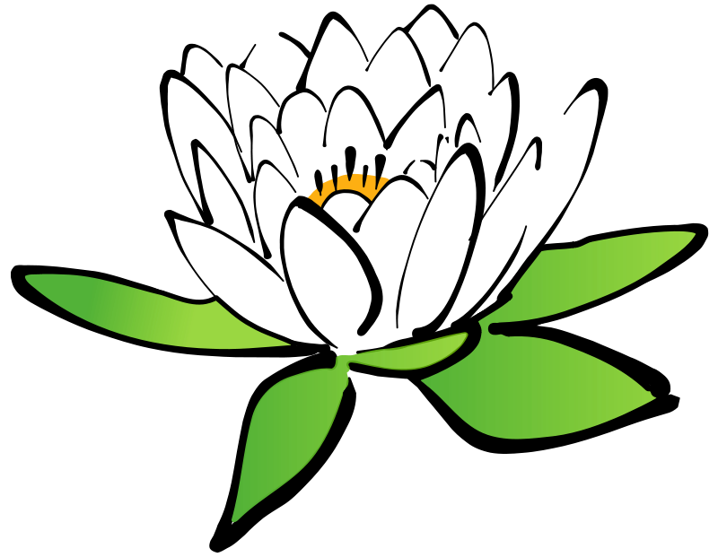 Vector Lotus Flower