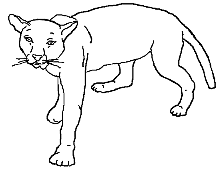 lion-coloring-page-360Free coloring pages for kids | Free coloring ...