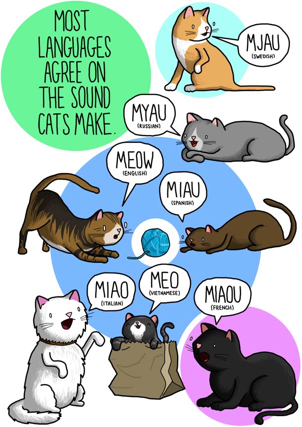 Animals noises in other languages in cute illustrations | Ufunk.net