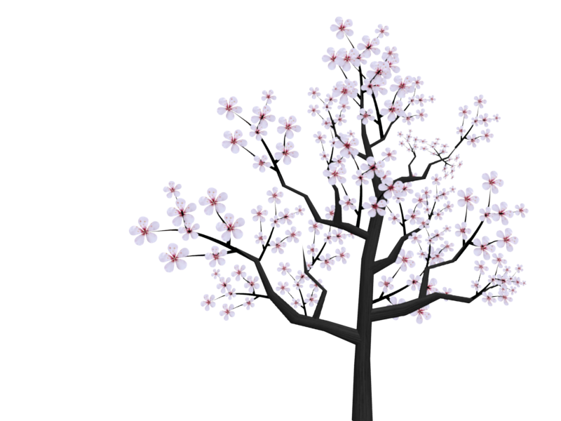Cherry Blossom Tree Cartoon - Cliparts.co