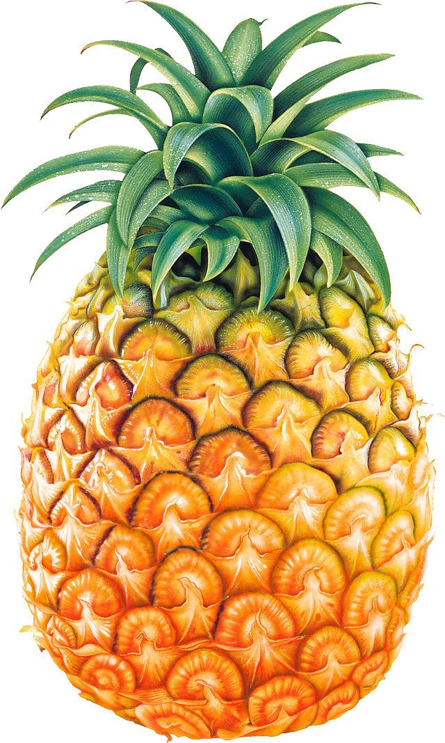 Pineapple PNG images free pictures download