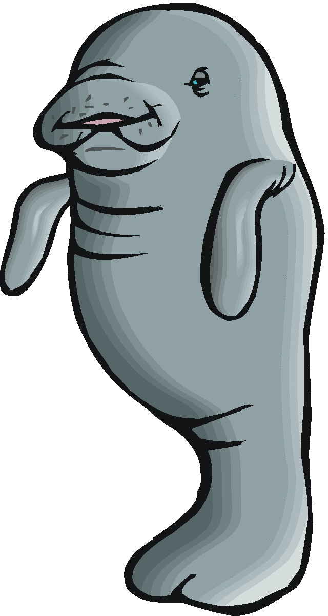 Gallery For > Manatee Clip Art